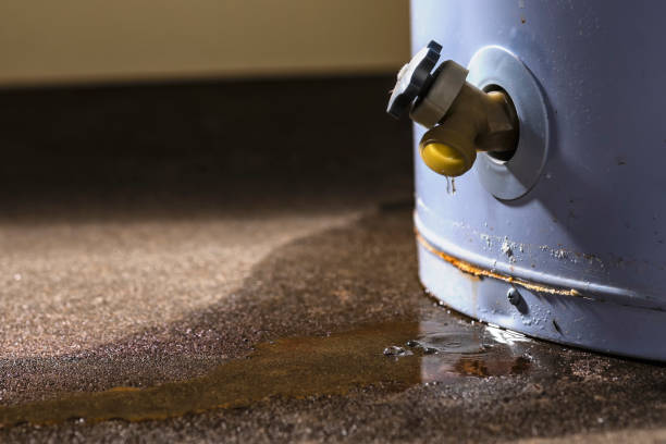 Best Water damage restoration experts  in USA